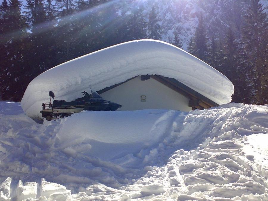Hotel Villanova Santo Stefano Di Cadore Eksteriør billede